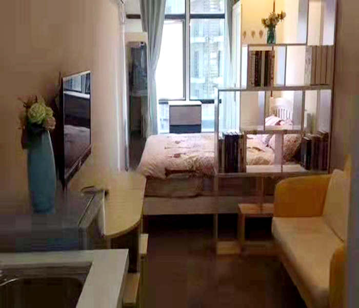 深圳羅湖的小產權房-中央銀座