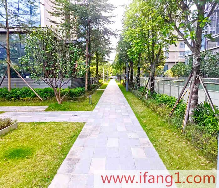 觀瀾黎光小產權房